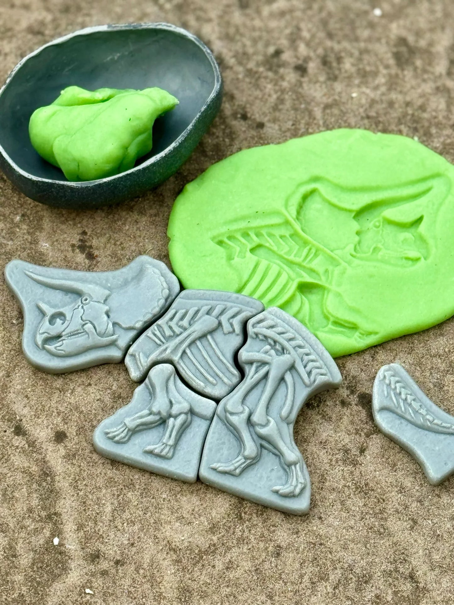 Yellow Door - Graaf en ontdek - Graaf en ontdek – Triceratops en Spinosaurus