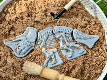Yellow Door - Graaf en ontdek - Graaf en ontdek – Triceratops en Spinosaurus