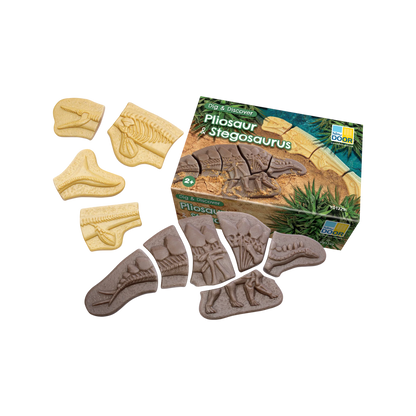 Yellow Door - Graaf en ontdek - Pliosaurus en Stegosaurus