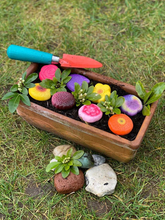 Sensory Play Stones | Flowers