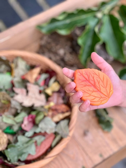 Sensory Play Stones| Leaves
