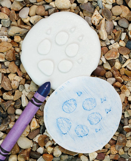Let's Investigate | Polar Footprints